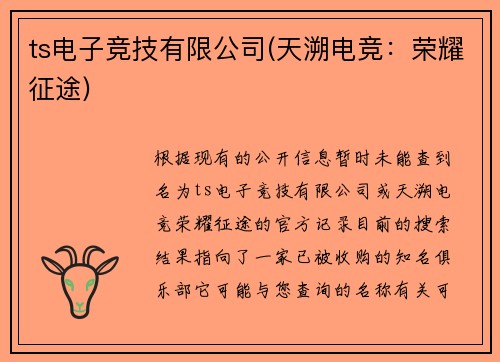 ts电子竞技有限公司(天溯电竞：荣耀征途)
